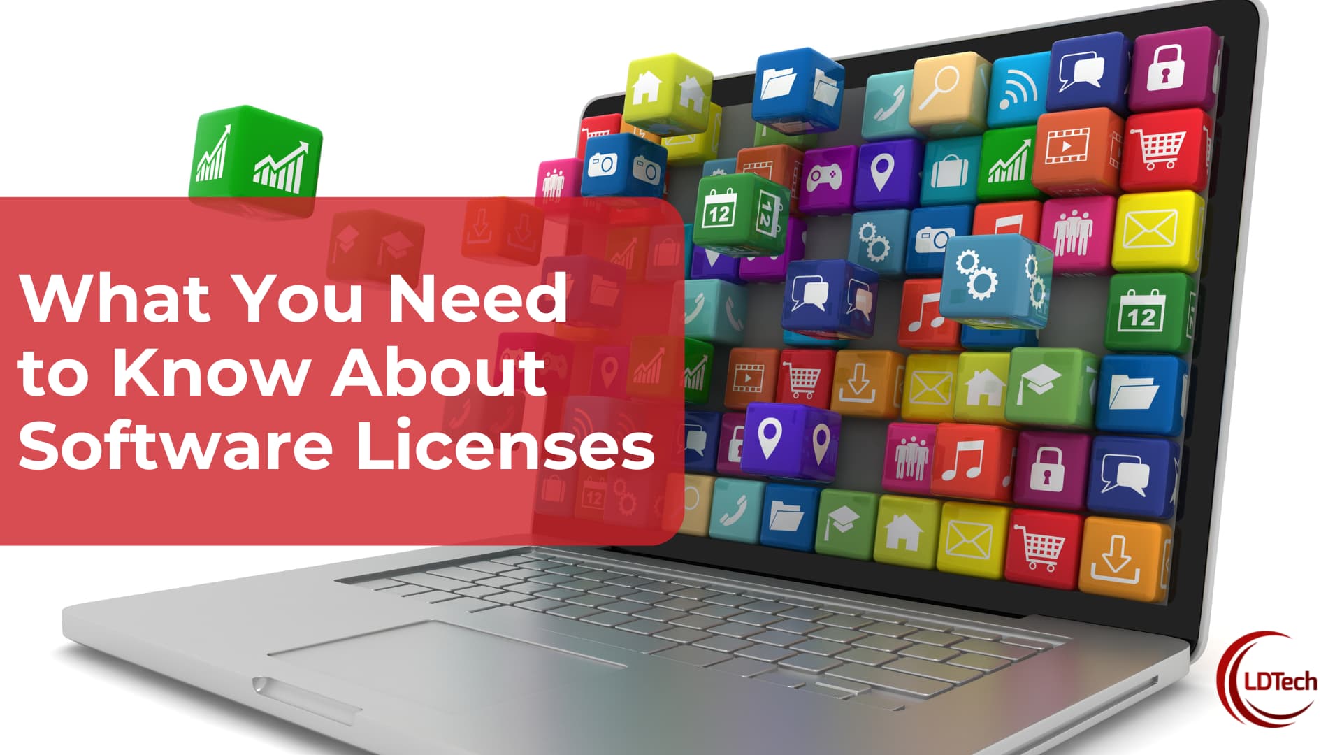 What You Need to Know About Software Licenses